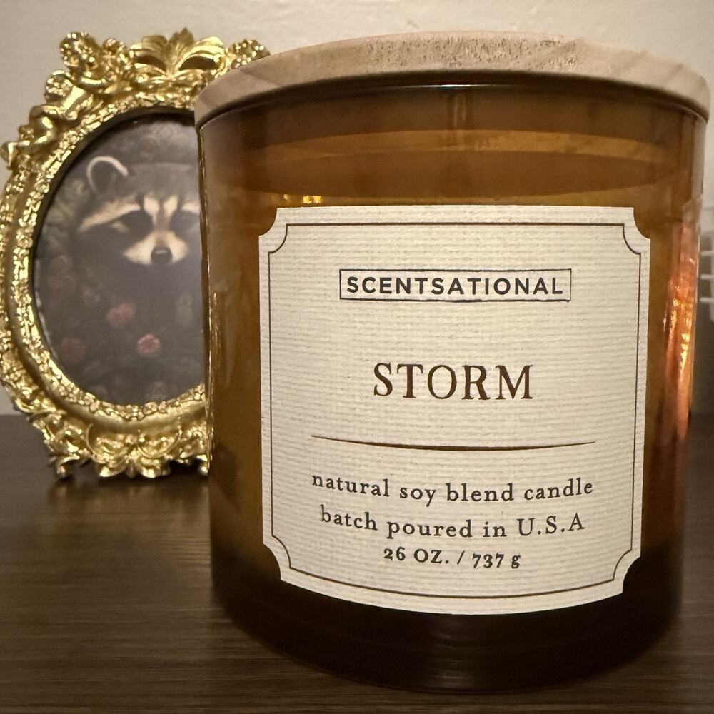 Scentsational‎ Storm Scent Candle Natural Soy Blend 26 oz 3 Wick